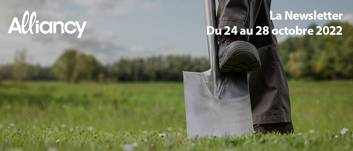 La newsletter du 24 au 28 octobre 2022
