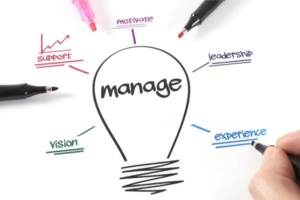 Management & Organisation : Comment tirer parti de l’expérience des autres ?