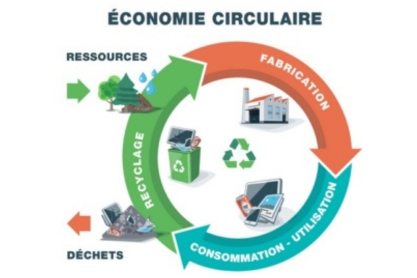 [Chronique] : L’économie circulaire renforcée par les crises à l’ère du digital